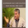 Acupressure Self-Care Solution by Michael Reed Gach