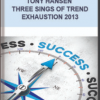Tony Hansen – Three Sings of Trend Exhaustion 2013