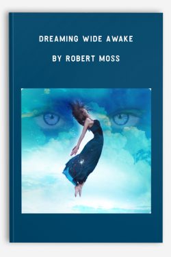 Dreaming Wide Awake by Robert Moss