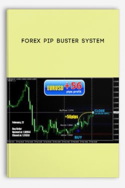 Forex Pip Buster System