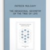The Hexagonal Geometry of the Tree of Life by Patrick Mulcahy