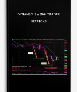 Dynamic Swing Trader by NETPICKS