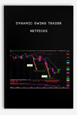 Dynamic Swing Trader by NETPICKS