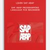 Learn SAP ABAP- SAP ABAP Programming Language For Beginners