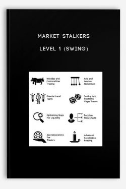 Market Stalkers Level 1 (Swing)