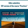 Odin-sadashiva – VIP-version of the course “Practices”