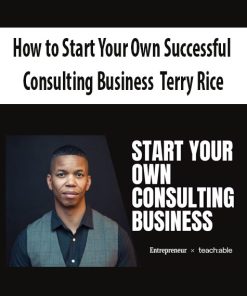 How to Start Your Own Successful Consulting Business by Terry Rice