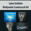 Lyons Institute – Biodynamic Craniosacral Set