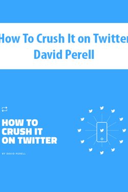 How To Crush It on Twitter By David Perell
