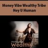 Money Vibe Wealthy Tribe By Hey U Human
