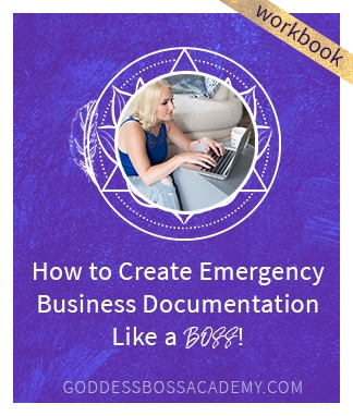 Workbook - How to Create Emergency Business Documentation Like a Boss By Melissa Ingold 