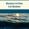 Business in Flow By Cat Skreiner