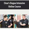 Clear’s Bagua Intensive Online Course