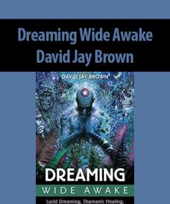 Dreaming Wide Awake By David Jay Brown