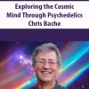 Exploring the Cosmic Mind Through Psychedelics By Chris Bache