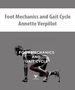 Foot Mechanics and Gait Cycle By Annette Verpillot