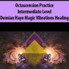 Octascension Practice Intermediate Level By Demian Haye Magic Vibrations Healing