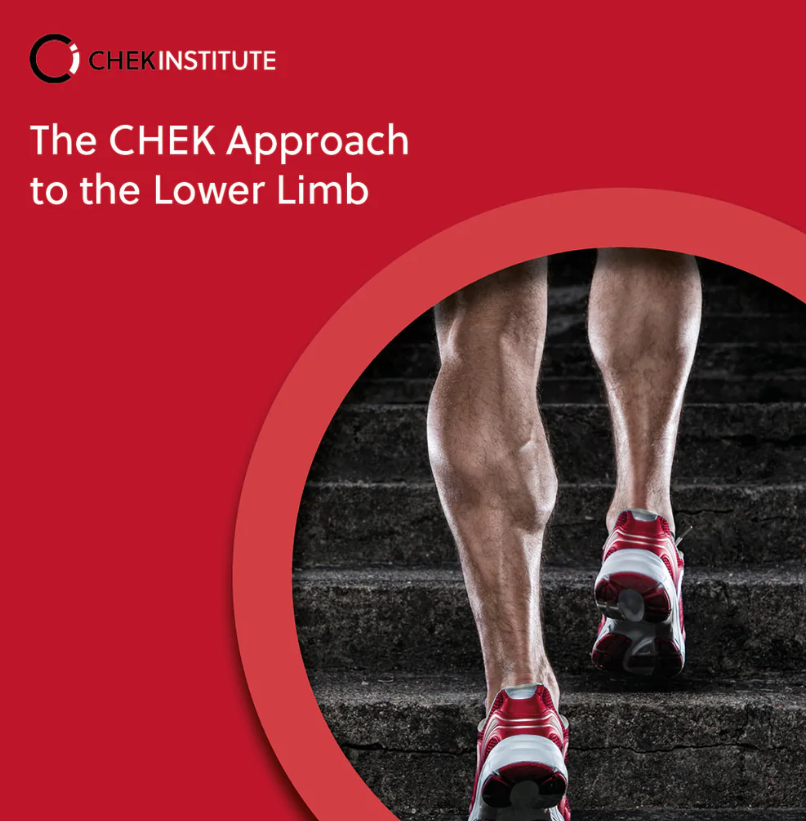The CHEK Approach to the Lower Limb By Matthew Wallden 