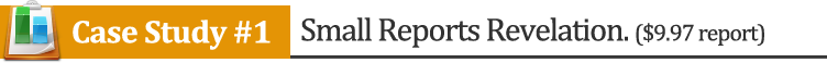 Small Reports Fortune 2.0 By Jimmy D Brown