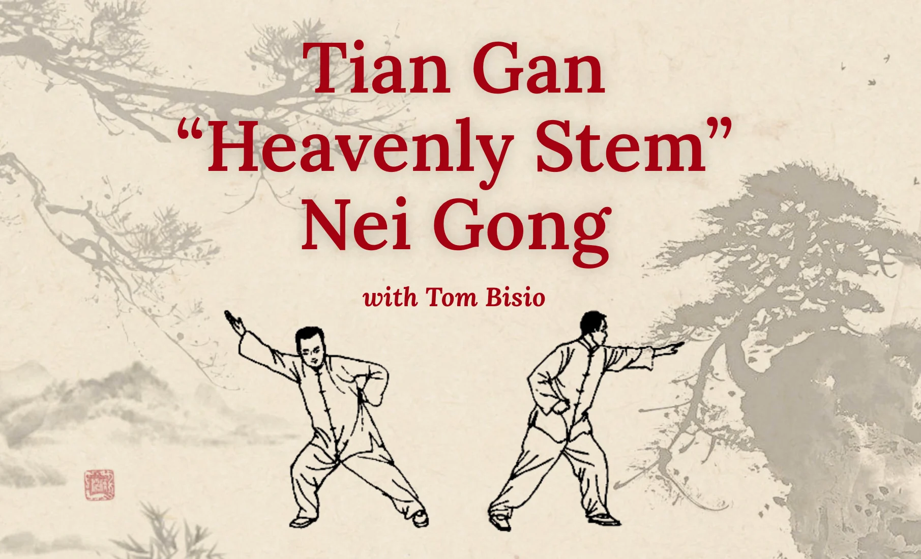 Tian Gan Nei Gong Online Learning Program